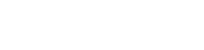 Netviel logo